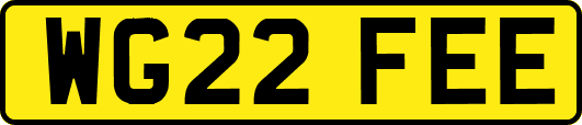 WG22FEE