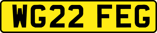 WG22FEG