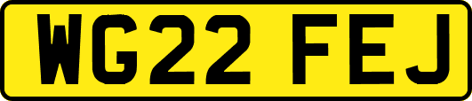 WG22FEJ