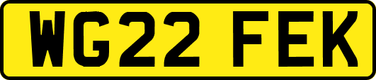 WG22FEK