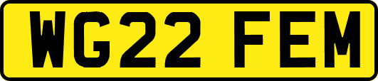 WG22FEM