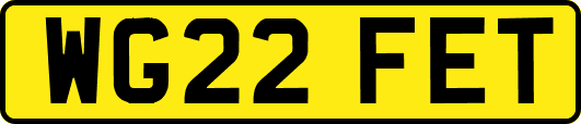 WG22FET