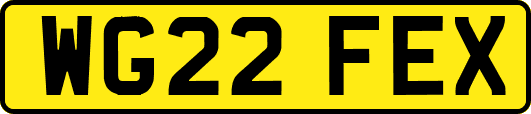 WG22FEX