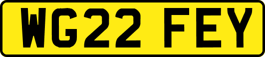 WG22FEY