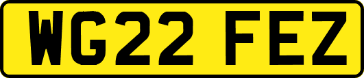 WG22FEZ