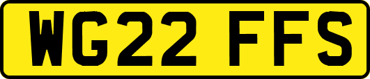 WG22FFS