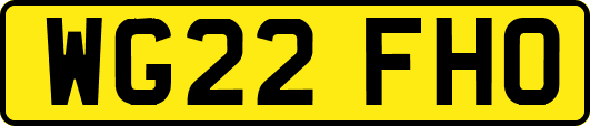 WG22FHO