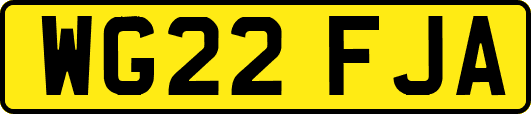 WG22FJA