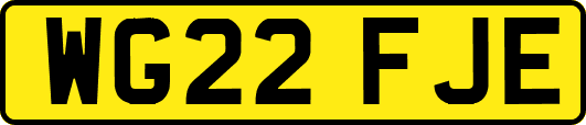 WG22FJE
