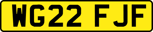 WG22FJF