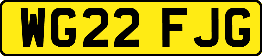 WG22FJG