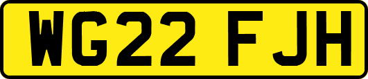 WG22FJH