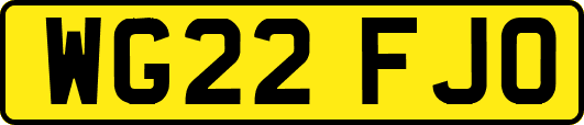 WG22FJO