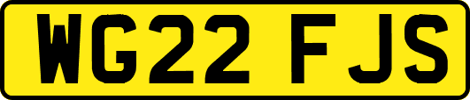 WG22FJS