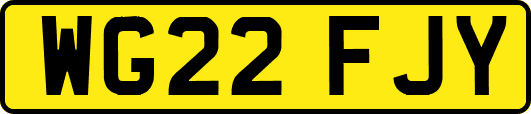 WG22FJY