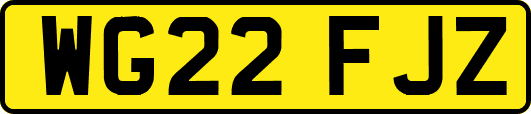 WG22FJZ