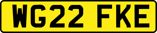 WG22FKE
