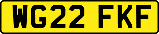 WG22FKF