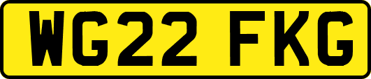 WG22FKG