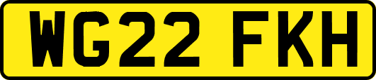 WG22FKH