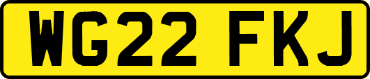 WG22FKJ