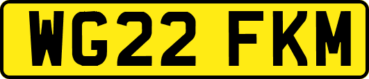 WG22FKM