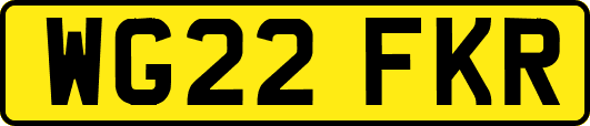 WG22FKR