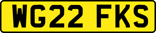 WG22FKS