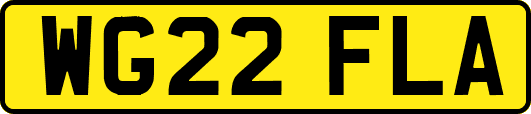 WG22FLA