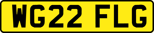 WG22FLG