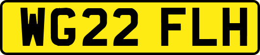 WG22FLH
