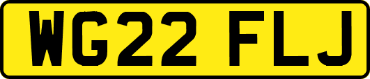 WG22FLJ