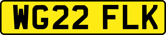 WG22FLK