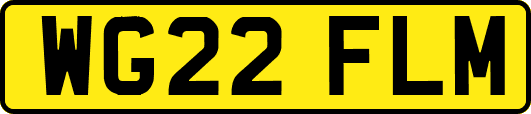 WG22FLM