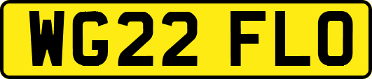 WG22FLO