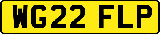 WG22FLP