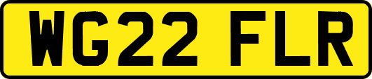 WG22FLR