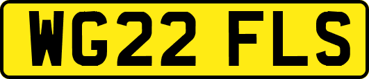 WG22FLS