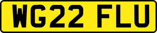 WG22FLU