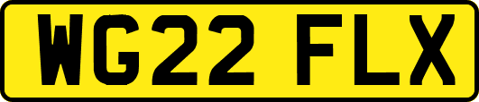 WG22FLX
