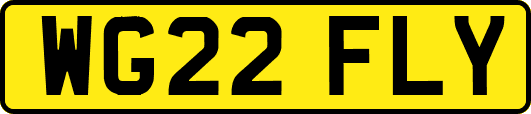 WG22FLY