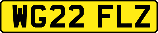 WG22FLZ