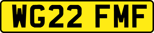 WG22FMF