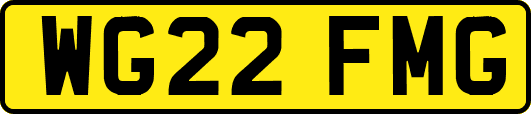 WG22FMG
