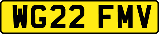 WG22FMV