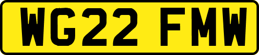 WG22FMW