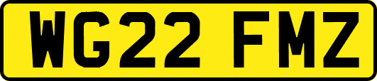 WG22FMZ