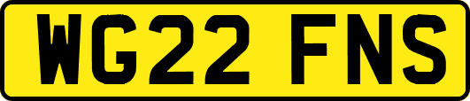 WG22FNS
