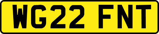 WG22FNT