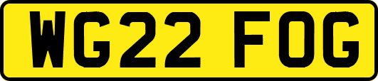 WG22FOG